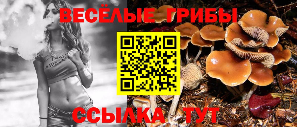 продажа наркотиков  Вход с VPN  Тобольск  Псилоцибиновые грибы ЛСД 